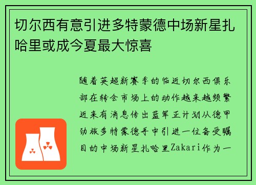 切尔西有意引进多特蒙德中场新星扎哈里或成今夏最大惊喜